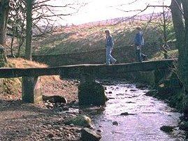 A Simple Beam Bridge